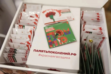 Вице‑губернатор Елена Воробьёва поддержала акцию «Красная гвоздика»