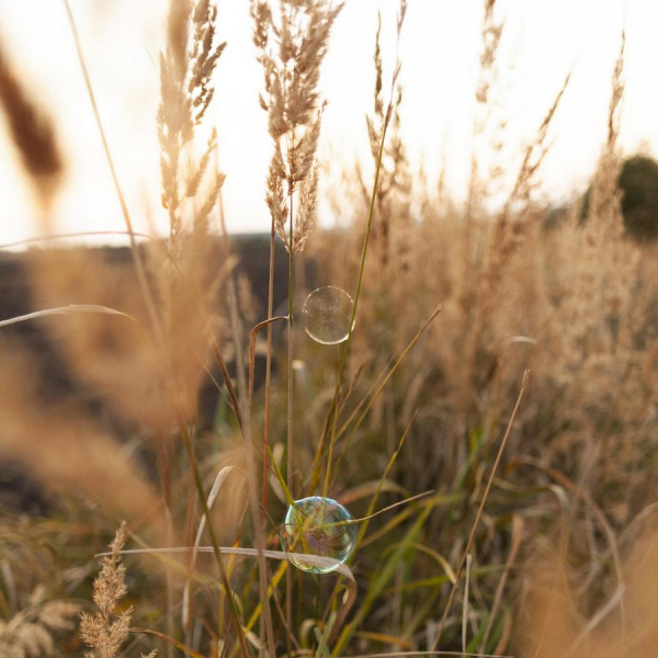 По народному календарю сегодня Фаддей Проповедник