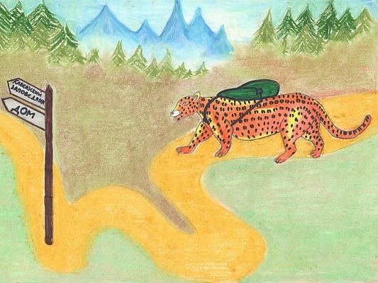 В Сочинском национальном парке объявлен конкурс детских рисунков